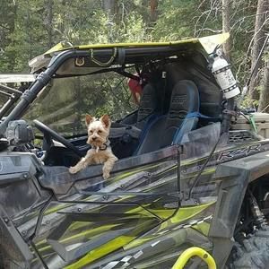 Meet your Posher, Lisa